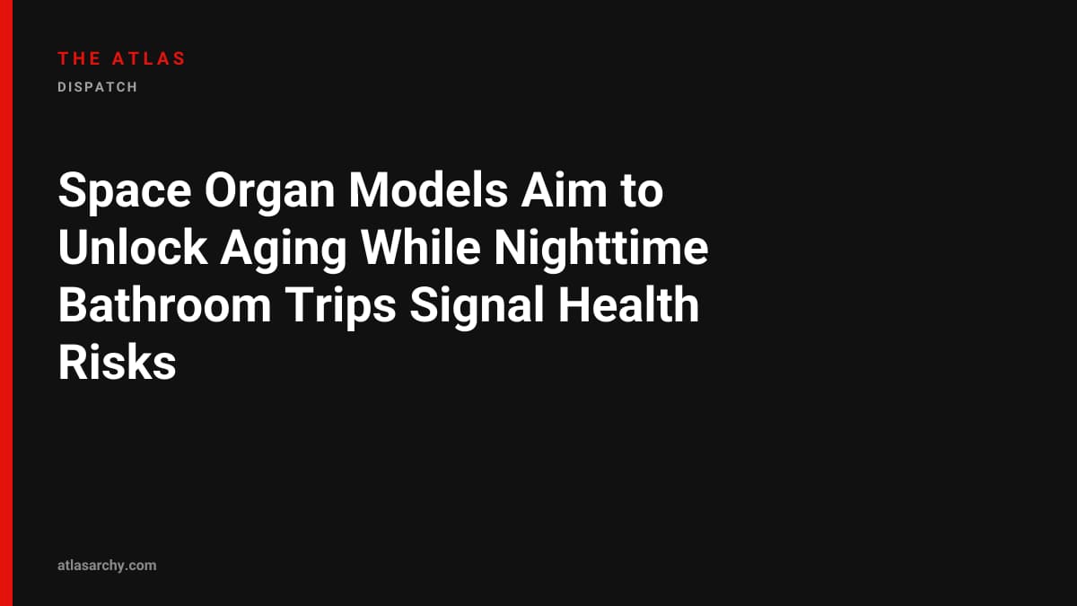 Space Organ Models Aim to Unlock Aging While Nighttime Bathroom Trips Signal Health Risks